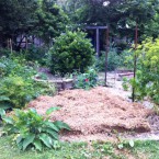 IMG_0703 IMG_0703