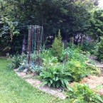IMG_0704 IMG_0704