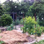 IMG_0705 IMG_0705