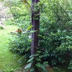 IMG_0706 IMG_0706