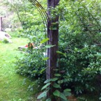 IMG_0707 IMG_0707