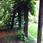 IMG_0708 IMG_0708