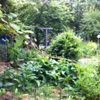 IMG_0709 IMG_0709