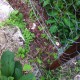 IMG_0806 IMG_0806
