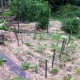 IMG_0807 IMG_0807