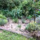 IMG_0808 IMG_0808