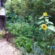 IMG_0810 IMG_0810