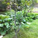 IMG_0811 IMG_0811