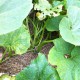 IMG_0813 IMG_0813
