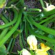 IMG_0814 IMG_0814