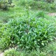 IMG_0817 IMG_0817