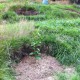 IMG_0819 IMG_0819