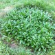 IMG_0820 IMG_0820