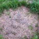 IMG_0823 IMG_0823