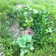 IMG_0824 IMG_0824