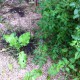 IMG_0826 IMG_0826