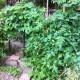 IMG_0828 IMG_0828