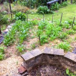 IMG_0891 IMG_0891