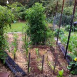 IMG_0893 IMG_0893