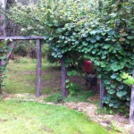 IMG_0895 IMG_0895