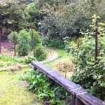 IMG_0897 IMG_0897