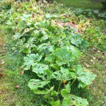 IMG_0899 IMG_0899