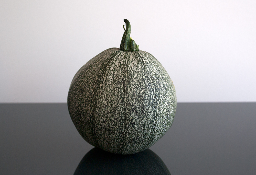 Round Zucchini — Bio