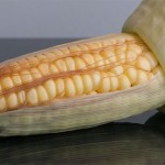 balinese_corn06
