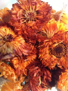 calenduladry02