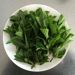 mints