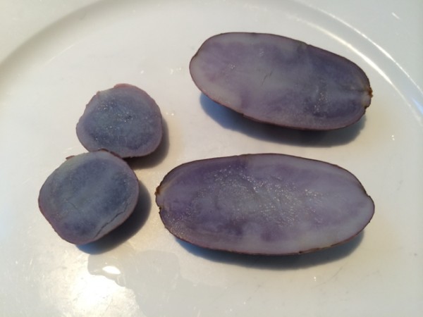 sapphire_potato_01