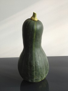 tahitiansquash2