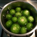 tomatillo_sauce01