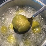 tomatillo_sauce04