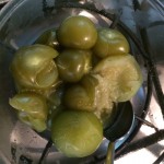tomatillo_sauce05