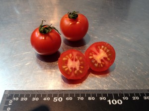 tomato_ball01